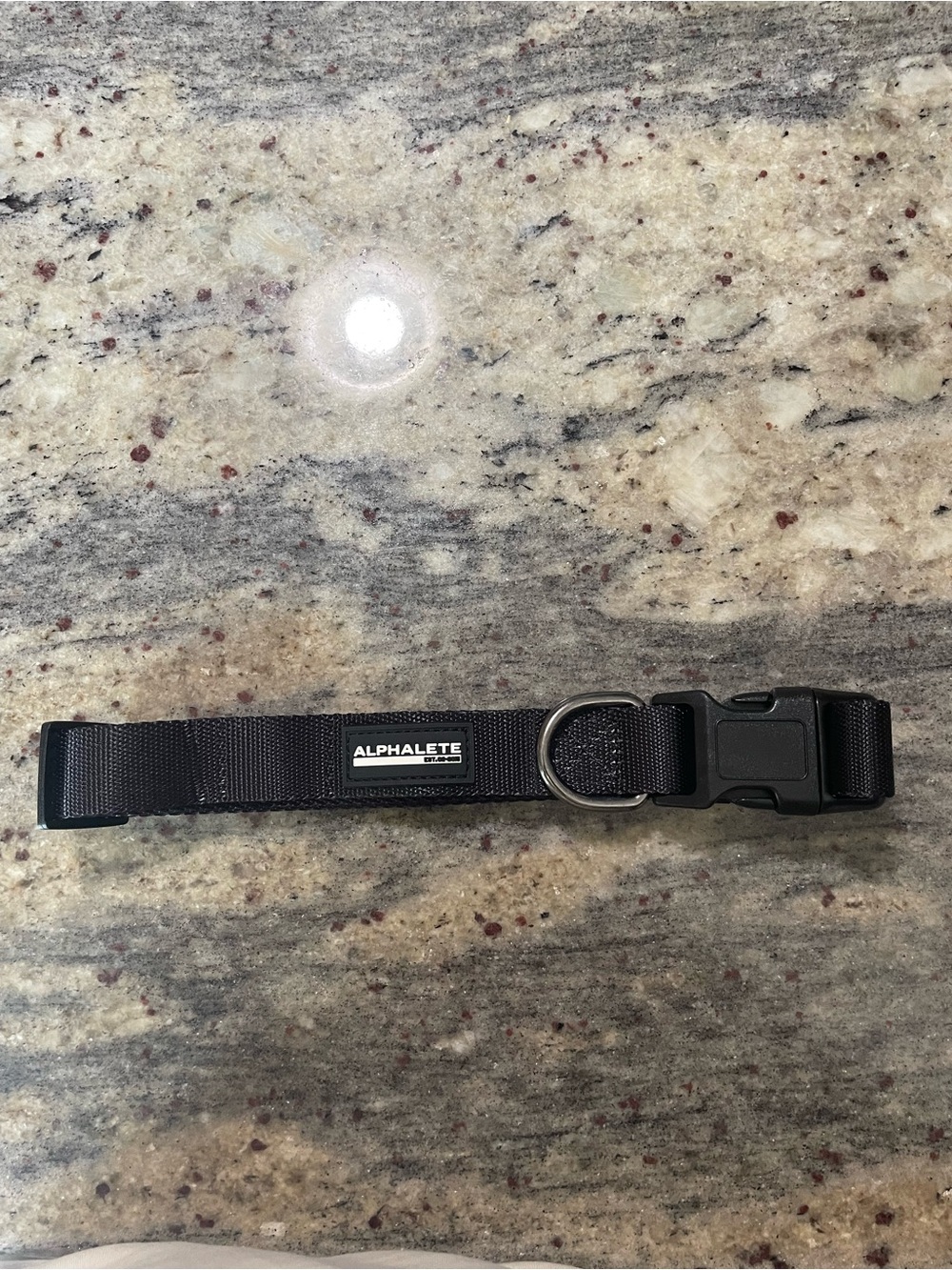 Alphalete Black Dog Collar